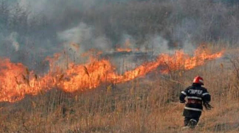 Incendiu de vegetație uscată în Scheiu de Jos,  intervenție amplă a pompierilor dâmbovițeni 
