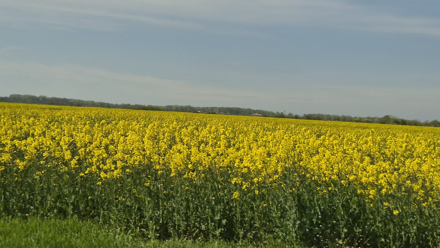 Județul Dâmbovița, sub informare meteorologică: ploi, vânt puternic și răcire accentuată până pe 23 aprilie