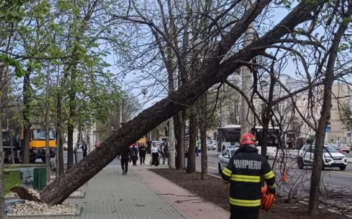 Județul Dâmbovița, sub informare meteorologică: vânt puternic, vreme rece și posibilă brumă