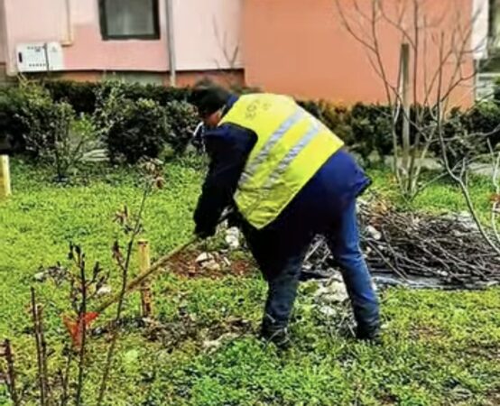 La TÂRGOVIȘTE a început Luna Curățeniei: Spațiile verzi și străzile orașului se curăță 