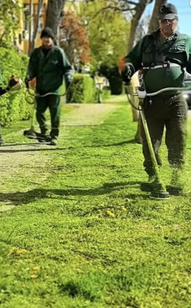 Municipiul Târgoviște este igienizat stradă cu stradă