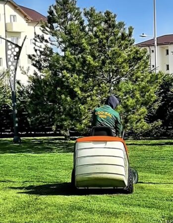 Municipiul Târgoviște este igienizat stradă cu stradă