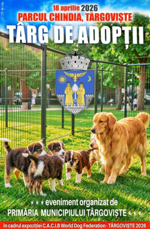 Primăria Târgoviște: Expoziție internațională de câini și târg de adopții în Parcul Chindia