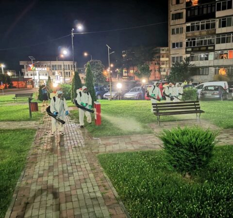 Primăria Târgoviște: Începe prima acțiune de dezinsecție din 2026 pe domeniul public