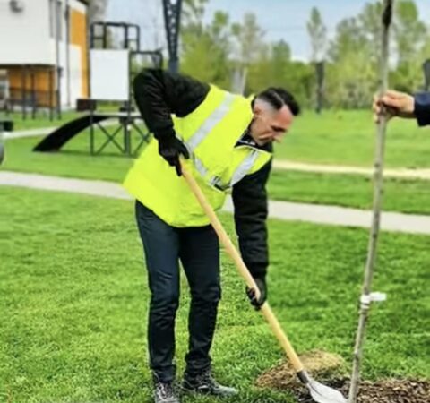Primăria Târgoviște: 300 de arbori plantați în noul parc de lângă Complexul Turistic de Natație