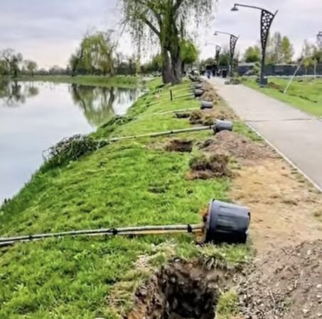 Primăria Târgoviște: 300 de arbori plantați în noul parc de lângă Complexul Turistic de Natație