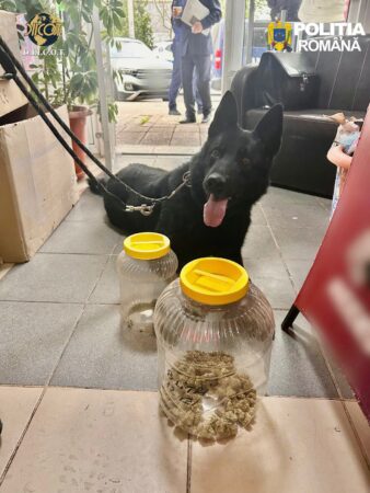  Rețea de trafic de droguri destructurată în Dâmbovița