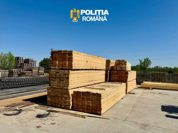 TRANSPORT ILEGAL DE MATERIAL LEMNOS DESCOPERIT ÎN COMUNA ODOBEȘTI:  LEMN CONFISCAT ȘI VEHICUL INDISPONIBILIZAT