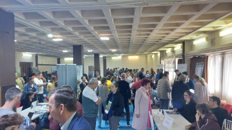 AJOFM Dâmbovița: Aproape 200 de locuri de muncă disponibile în județ