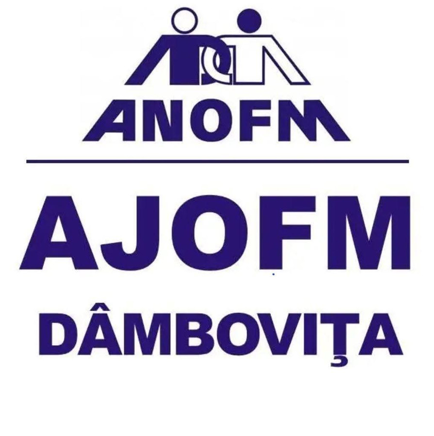 Oferta zilei pe piața muncii: 246 de joburi disponibile prin AJOFM Dâmbovița