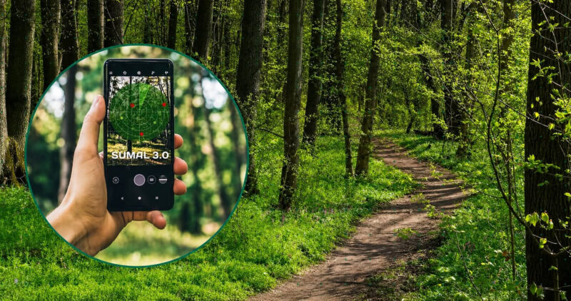SUMAL 3.0: „Scutul digital” împotriva tăierilor ilegale de păduri SUMAL 3.0: „Scutul digital” împotriva tăierilor ilegale de păduri