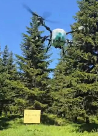 Stropiri cu drona în plantația de brad de la Priseaca – Târgoviște pentru protejarea arborilor