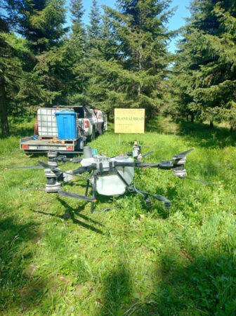 Stropiri cu drona în plantația de brad de la Priseaca – Târgoviște pentru protejarea arborilor