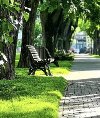 Târgoviște, un oraș curat și verde: echipele de la salubritate mențin zilnic frumusețea spațiilor publice