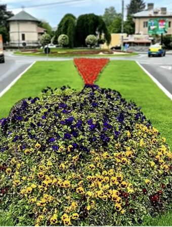  Târgoviște, orașul care se transformă într-un adevărat colț de natură urbană