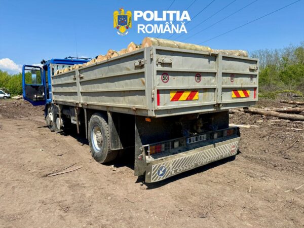 Transport de material lemnos fără respectarea procedurilor legale, depistat de polițiști la Târgoviște