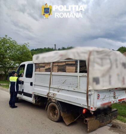 Transport ilegal de material lemnos, oprit de polițiști Transport ilegal de material lemnos, oprit de polițiști