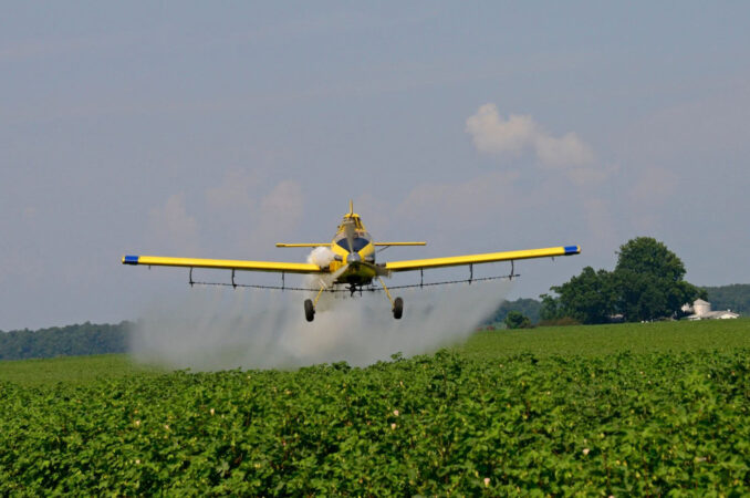 ANF: informare pentru deținătorii autorizațiilor produselor de protecție a plantelor ANF: informare pentru deținătorii autorizațiilor produselor de protecție a plantelor