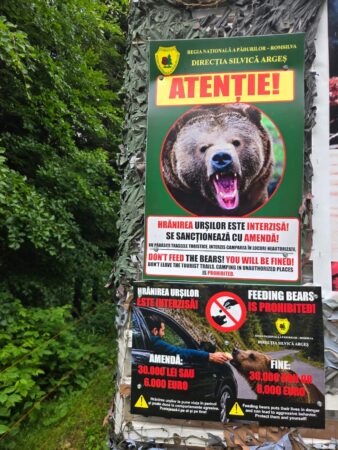 Amenzi de până la 30.000 de lei pentru cei care hrănesc urșii