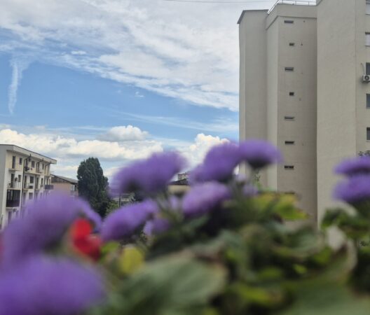Canicula pune stăpânire: Urmează zile cu temperaturi de până la 35 de grade dar nu lipsesc și furtunile Canicula pune stăpânire: Urmează zile cu temperaturi de până la 35 de grade dar nu lipsesc și furtunile