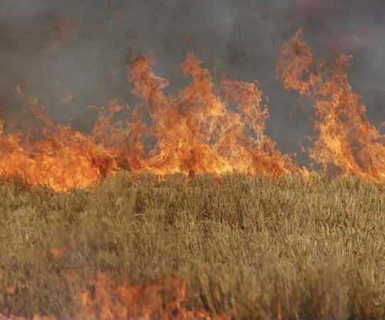 Măsuri de prevenire în perioadele caniculare: recomandări pentru populație și prevenirea incendiilor Măsuri de prevenire în perioadele caniculare: recomandări pentru populație și prevenirea incendiilor