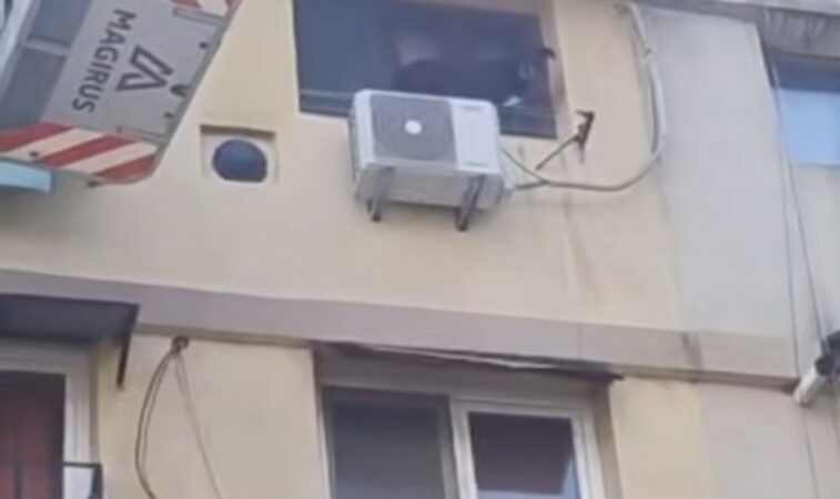 Misiune de salvare cu emoții: pompierii au coborât în siguranță un mic ‘alpinist’ blănos de pe pervaz