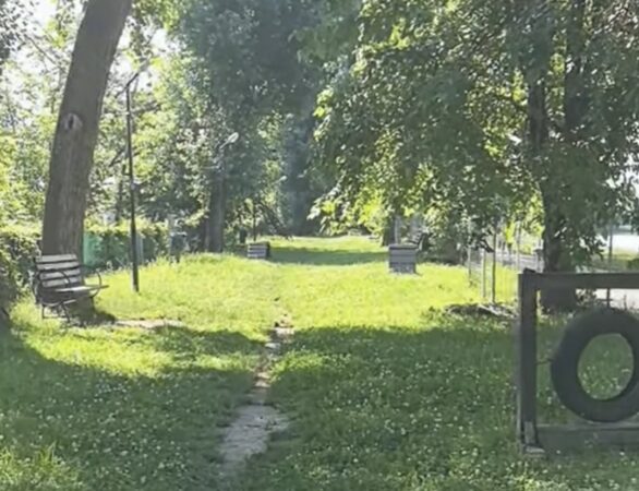 Primăria Târgoviște continuă lupta împotriva abandonului animalelor:  Campanie gratuită de sterilizare pentru câini și pisici