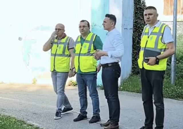 Primăria Târgoviște continuă lupta împotriva abandonului animalelor:  Campanie gratuită de sterilizare pentru câini și pisici