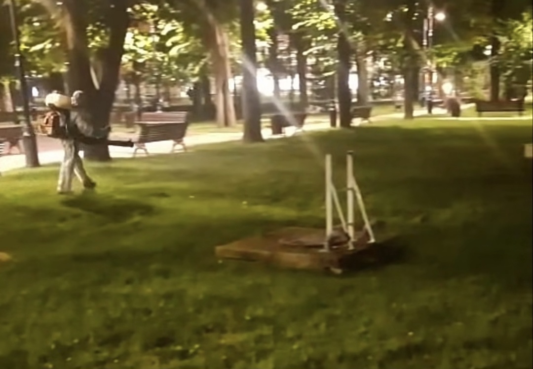 Târgoviște intră în ofensivă împotriva insectelor. A început acțiunea de dezinsecție pe domeniul public