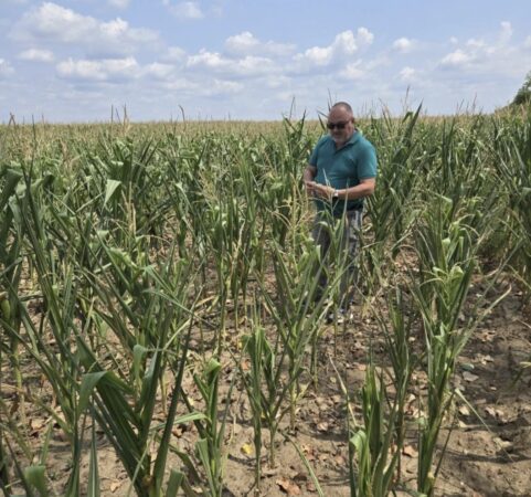 Vești bune pentru fermierii din Dâmbovița: despăgubiri de 1.000 de lei pe hectar pentru terenurile afectate de secetă Vești bune pentru fermierii din Dâmbovița: despăgubiri de 1.000 de lei pe hectar pentru terenurile afectate de secetă