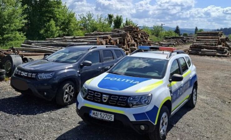 Controale ample în Dâmbovița! Amenzi de aproape 7.000 de lei și lemn confiscat în urma verificărilor Controale ample în Dâmbovița! Amenzi de aproape 7.000 de lei și lemn confiscat în urma verificărilor