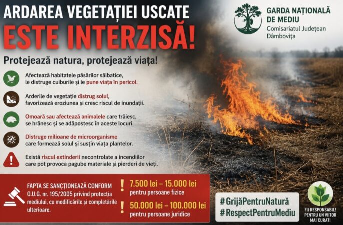 Garda de Mediu Dâmbovița avertizează: Arderea vegetației uscate este interzisă! Amenzi de până la 100.000 de lei Garda de Mediu Dâmbovița avertizează: Arderea vegetației uscate este interzisă! Amenzi de până la 100.000 de lei