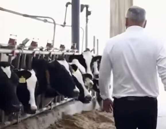 Haos în agricultură, fermierii trag obloanele Haos în agricultură, fermierii trag obloanele