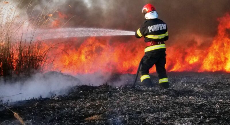 Incendiu de miriște pe 3.000 de metri pătrați, pompierii au intervenit de urgență. Incendiu de miriște pe 3.000 de metri pătrați, pompierii au intervenit de urgență.
