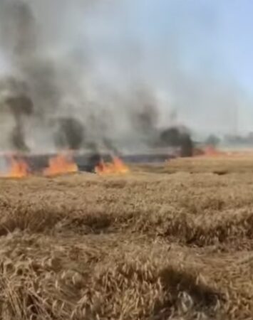 Incendiu de proporții la o cultură de grâu din Dâmbovița. Pompierii au intervenit pentru stingerea flăcărilor