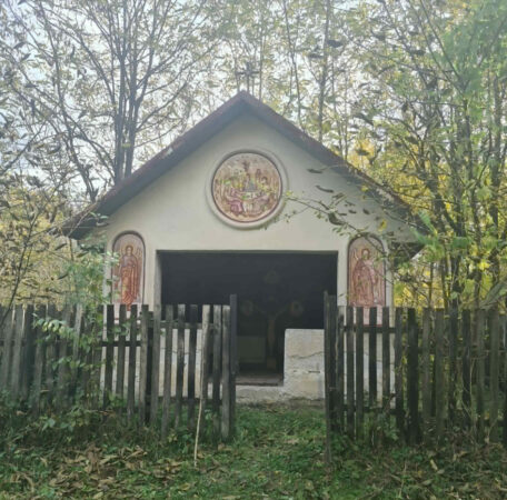 Povestea „minunii” Sfântului Ilie de la Cotul Vulcănii: mii de pelerini au ajuns în Vulcana Pandele
