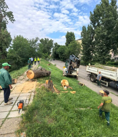Primăria Târgoviște: Peste 250 de intervenții după vijelia de Cod Roșu. Sute de oameni și utilaje lucrează pentru readucerea orașului la normal