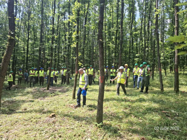 Schimb de experiență la Direcția Silvică Dâmbovița: Specialiști din întreaga țară, reuniți la Ocolul Silvic Sturzeni