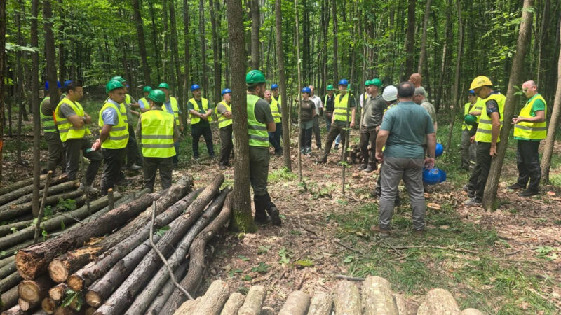 Schimb de experiență la Direcția Silvică Dâmbovița: Specialiști din întreaga țară, reuniți la Ocolul Silvic Sturzeni