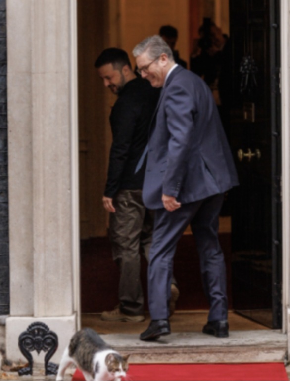 Singurul care nu-și face griji de alegeri: Larry, motanul de la Downing Street!