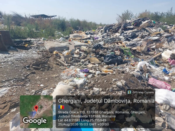 65.000 de lei amendă pentru Primăria Răcari! 