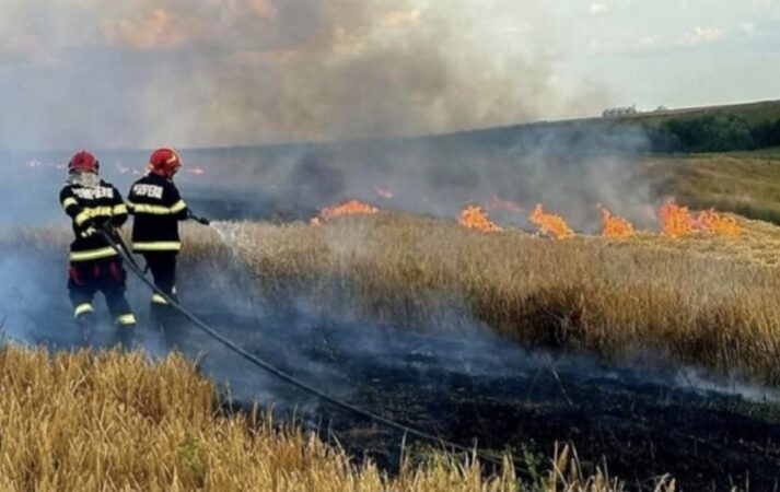 CANICULA PUNE DÂMBOVIȚA PE BUTOIUL CU PULBERE! Risc uriaș de incendii de vegetație CANICULA PUNE DÂMBOVIȚA PE BUTOIUL CU PULBERE! Risc uriaș de incendii de vegetație