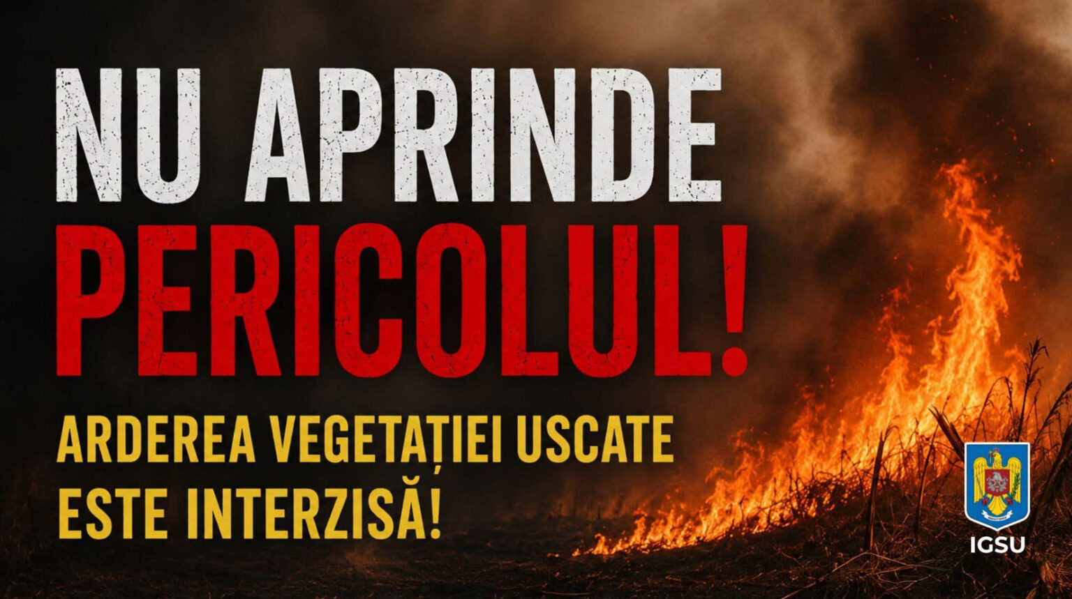 Două incendii de vegetație uscată în Dâmbovița. Pompierii au intervenit la Hulubești și Corbii Mari Două incendii de vegetație uscată în Dâmbovița. Pompierii au intervenit la Hulubești și Corbii Mari