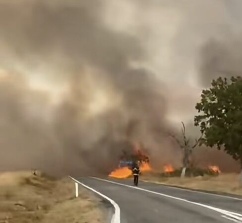 IARĂȘI FOC ÎN DÂMBOVIȚA! 3.000 de metri pătrați de vegetație uscată, mistuiți de flăcări la Dragomirești IARĂȘI FOC ÎN DÂMBOVIȚA! 3.000 de metri pătrați de vegetație uscată, mistuiți de flăcări la Dragomirești