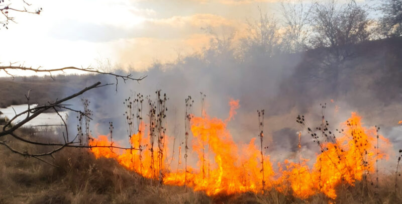 Incendiu în cartierul Romlux din Târgoviște! Vegetația uscată și deșeurile menajere au luat foc Incendiu în cartierul Romlux din Târgoviște! Vegetația uscată și deșeurile menajere au luat foc