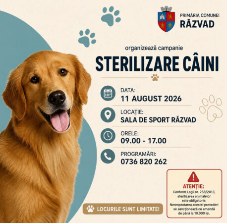 Sterilizări gratuite pentru câinii din Răzvad. Campania are loc pe 11 august Sterilizări gratuite pentru câinii din Răzvad. Campania are loc pe 11 august