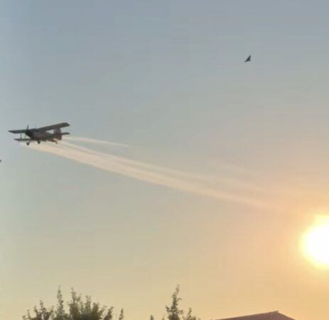 Târgoviște, „stropită” din aer împotriva insectelor! Avioanele au intervenit ieri în oraș Târgoviște, „stropită” din aer împotriva insectelor! Avioanele au intervenit ieri în oraș