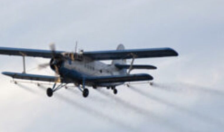 Târgoviște: începe a doua acțiune de dezinsecție prin pulverizare aeriană Târgoviște: începe a doua acțiune de dezinsecție prin pulverizare aeriană