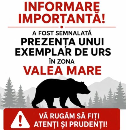 URS SEMNALAT ÎN VALEA MARE! Autoritățile au intrat în alertă la Aninoasa URS SEMNALAT ÎN VALEA MARE! Autoritățile au intrat în alertă la Aninoasa