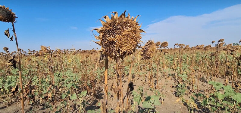 Ultima zi de vară vine cu vreme plăcută la Târgoviște. Peste 300 de recorduri termice în această vară Ultima zi de vară vine cu vreme plăcută la Târgoviște. Peste 300 de recorduri termice în această vară